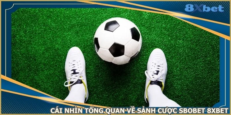 cai-nhin-tong-quan-ve-sanh-cuoc-sbobet-8xbet