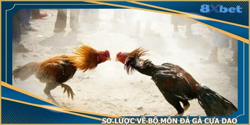 so-luoc-ve-bo-mon-da-ga-cua-dao